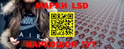 индика Будённовск