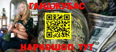 индика Будённовск