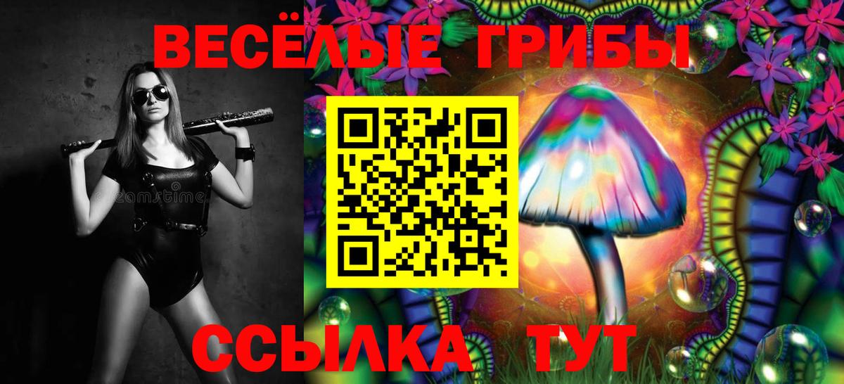где продают   Вход с VPN  Тейково  Псилоцибиновые грибы Magic Shrooms 