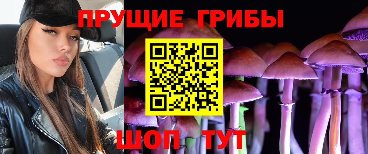 Псилоцибиновые грибы мицелий Тейково
